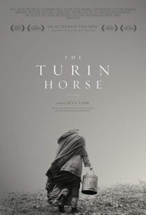 دانلود فیلم The Turin Horse 201110493-1161135800