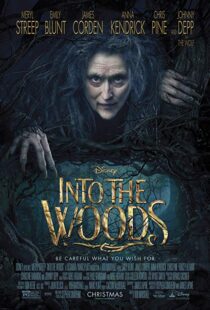 دانلود فیلم Into the Woods 20143675-398542319