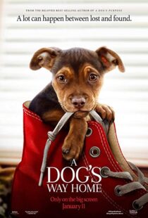 دانلود فیلم A Dog’s Way Home 20198110-26042781