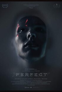 دانلود فیلم Perfect 201818991-516527123