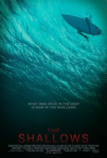 دانلود فیلم The Shallows 20166608-1041925085