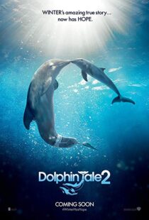 دانلود فیلم Dolphin Tale 2 201421312-1003410482