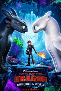 دانلود انیمه How to Train Your Dragon: The Hidden World 201919855-1632291857