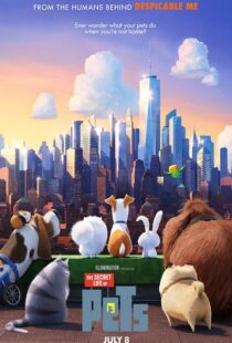 دانلود انیمه The Secret Life of Pets 20162913-1313203878