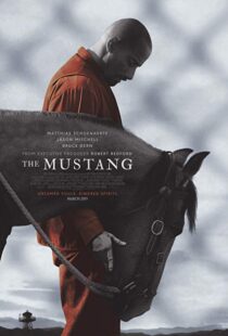 دانلود فیلم The Mustang 201910122-1637197933