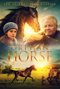 دانلود فیلم Orphan Horse 20188125-2122164622