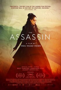 دانلود فیلم The Assassin 201513760-497153949