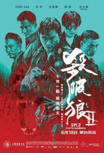 دانلود فیلم Kill Zone 2 20151845-1217443594