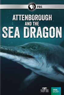 دانلود مستند Attenborough and the Sea Dragon 20188753-1395201208