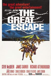 دانلود فیلم The Great Escape 19635445-1932577196