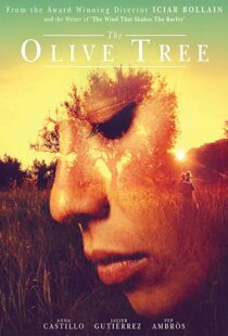 دانلود فیلم The Olive Tree 201615934-273400146