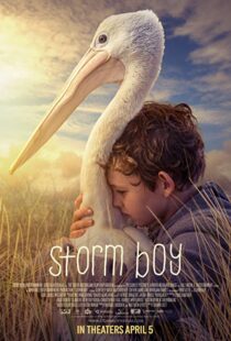 دانلود فیلم Storm Boy 20199003-572417283