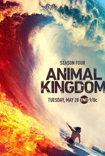 دانلود سریال Animal Kingdom18326-131262060