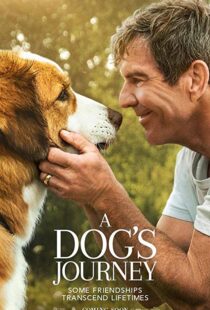 دانلود فیلم هندی A Dog’s Journey 201915660-1363444898