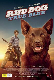دانلود فیلم Red Dog: True Blue 20168899-529538835