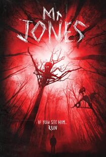 دانلود فیلم Mr. Jones 201337611-1650303201