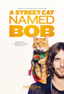 دانلود فیلم A Street Cat Named Bob 201641621-1526069298