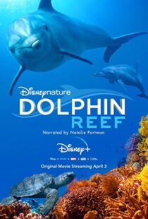 دانلود مستند Dolphin Reef 201838724-1858410053