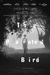 دانلود فیلم The Painted Bird 201943285-789357856
