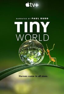 دانلود مستند Tiny World52124-8301557