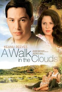 دانلود فیلم A Walk in the Clouds 199553815-985939594