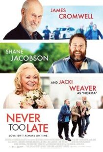 دانلود فیلم Never Too Late 202055190-178065421