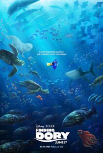 دانلود انیمیشن Finding Dory 201658678-1443590729