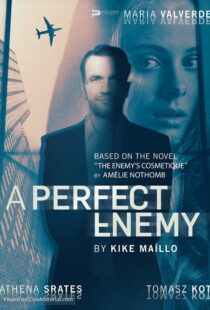 دانلود فیلم A Perfect Enemy 202082295-543126426