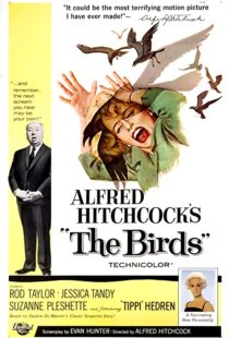 دانلود فیلم The Birds 196382372-1150962234