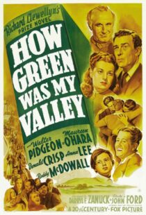 دانلود فیلم How Green Was My Valley 194181855-1885083113