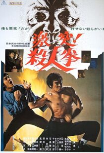دانلود فیلم The Street Fighter 197483791-109407889
