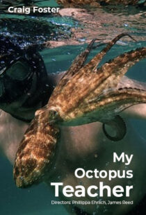 دانلود مستند My Octopus Teacher 202082343-247605072