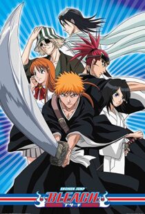دانلود انیمه Bleach85638-727619003