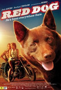 دانلود فیلم Red Dog 201187414-548086070