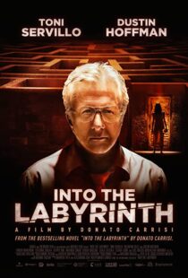 دانلود فیلم Into the Labyrinth 201991141-1897767804