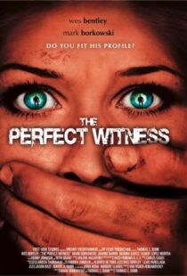 دانلود فیلم The Perfect Witness 200796937-1509426855