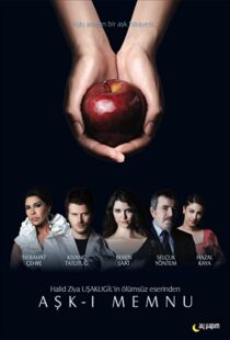 دانلود سریال Forbidden Love94309-435980817