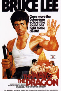دانلود فیلم The Way of the Dragon 197297592-331800370