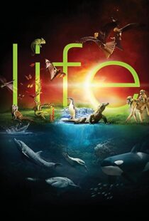 دانلود مستند Life96080-1143546426
