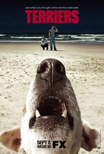 دانلود سریال Terriers100032-2045628110