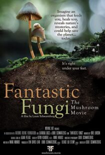 دانلود مستند Fantastic Fungi 2019100518-2061351265