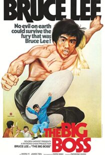 دانلود فیلم The Big Boss 197197560-2119119765