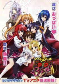 دانلود انیمه High School DxD100222-162433347