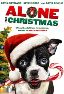 دانلود فیلم Alone for Christmas 2013107883-1240390232