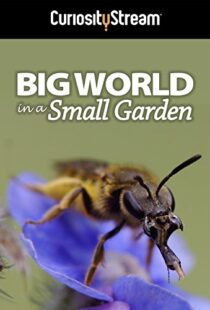 دانلود مستند Big World in a Small Garden 2016102965-503565235