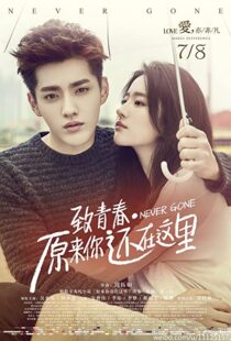 دانلود فیلم Never Gone 2016110283-1816876986