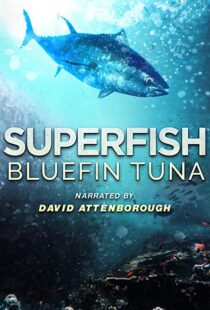 دانلود مستند Superfish Bluefin Tuna 2012101607-921288542