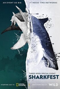دانلود مستند Man vs. Shark 2019104475-1933171655