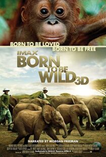 دانلود مستند Born to Be Wild 2011110503-698310705