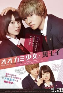دانلود فیلم Wolf Girl and Black Prince 2016111028-405646859